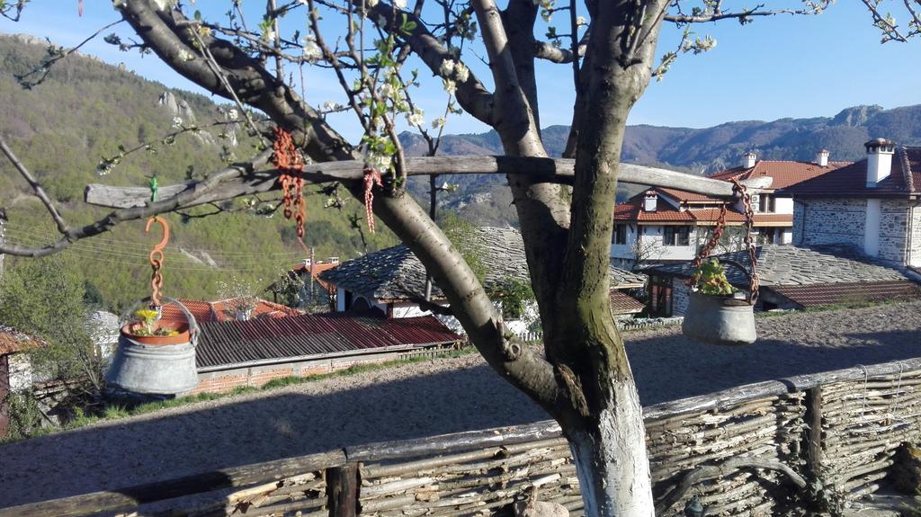 Semana Guesthouse Vrata Buitenkant foto