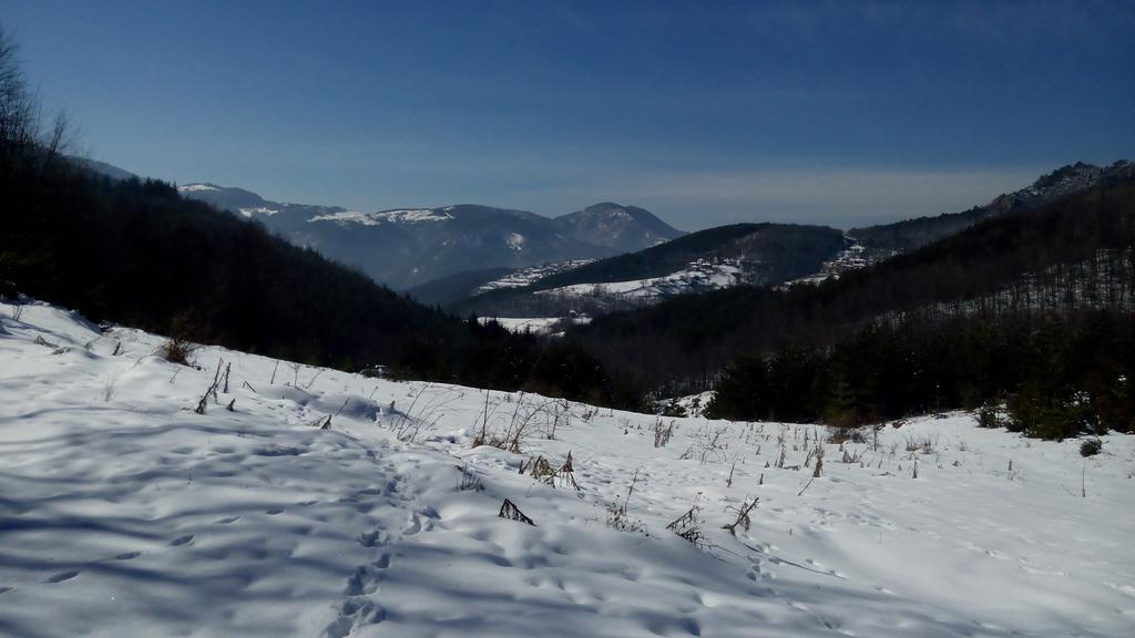 Semana Guesthouse Vrata Buitenkant foto
